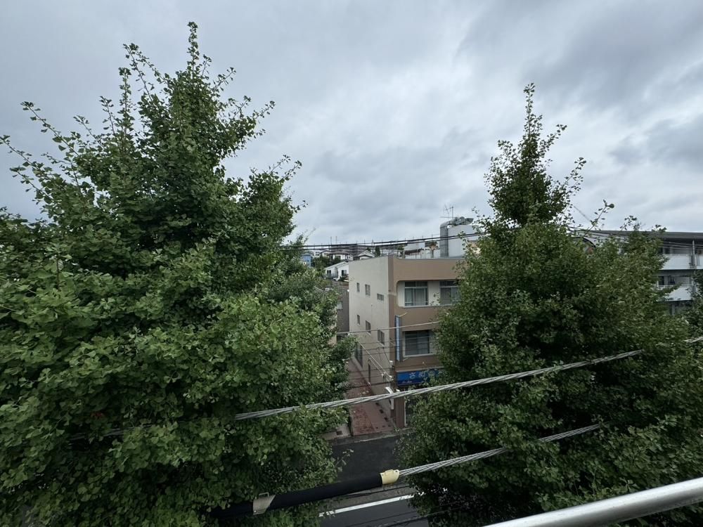 �y���]�z�@