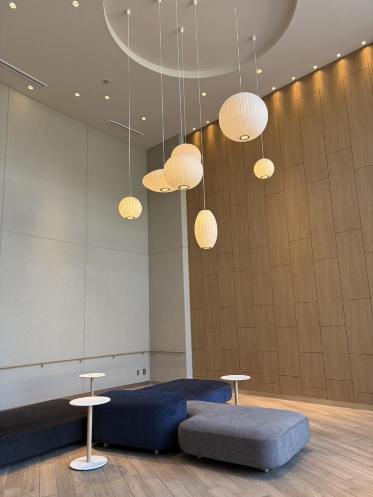 �y���̑����L�����z�@